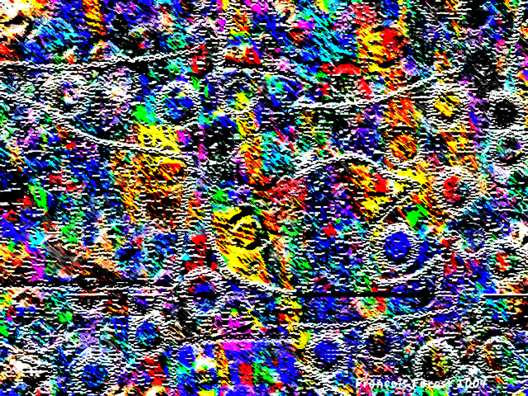 PAYSAGES HYBRIDES 3.gif